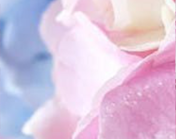 Pastels