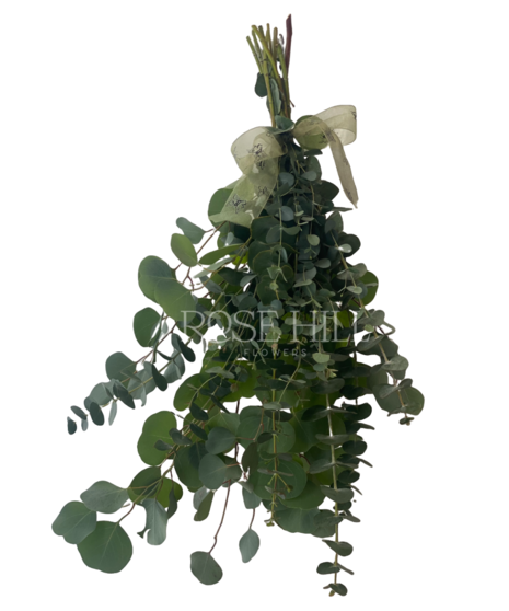 Eucalyptus Shower Bundle