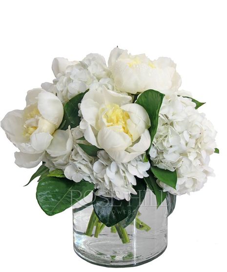 Porcelain - White