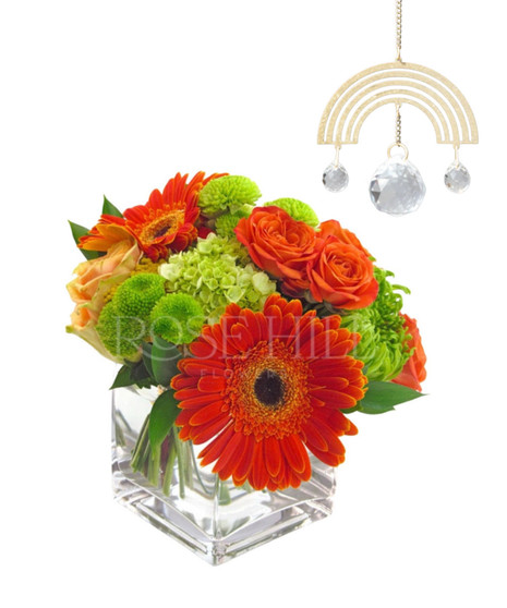 Sunshine Suncatcher Bundle