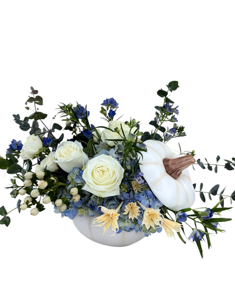 Cinderella's Pumpkin