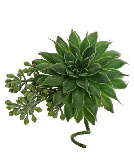 Handmade Succulent Wrist Corsage