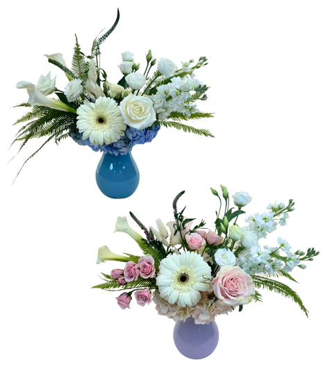 Hey Baby! - Choose Your Color