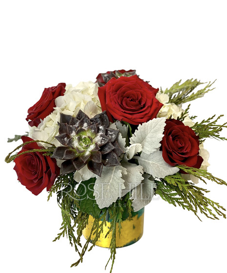 Holiday Roses and Succulents
