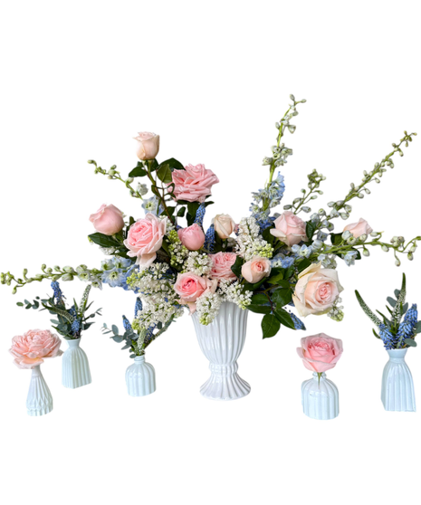 Twinkle Twinkle Little Blooms