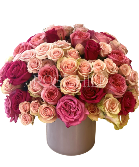 Pink Showstopper