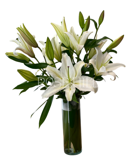 Vase of Lilies