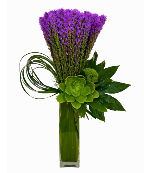 Star Power - Vase of Liatris