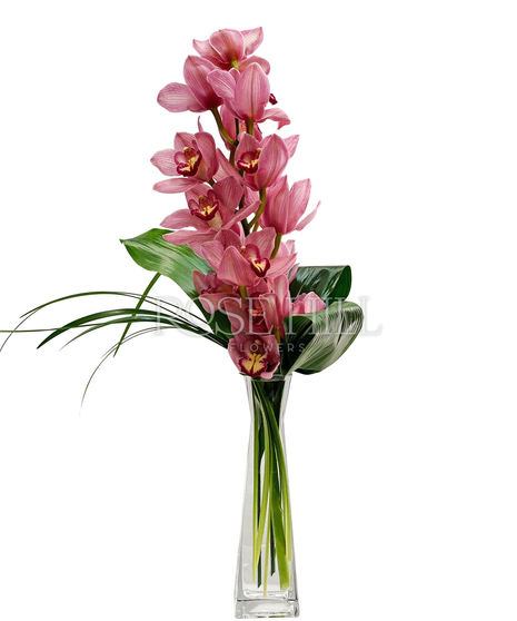 Simply Orchids