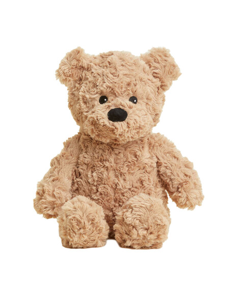 Cozy Brown Bear