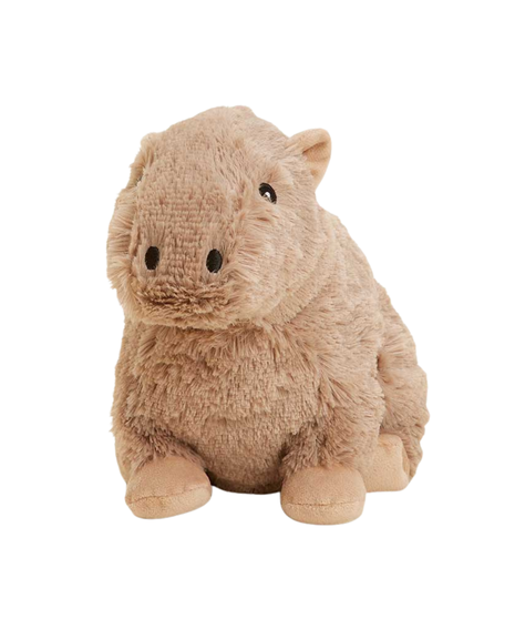 Cozy Capybara