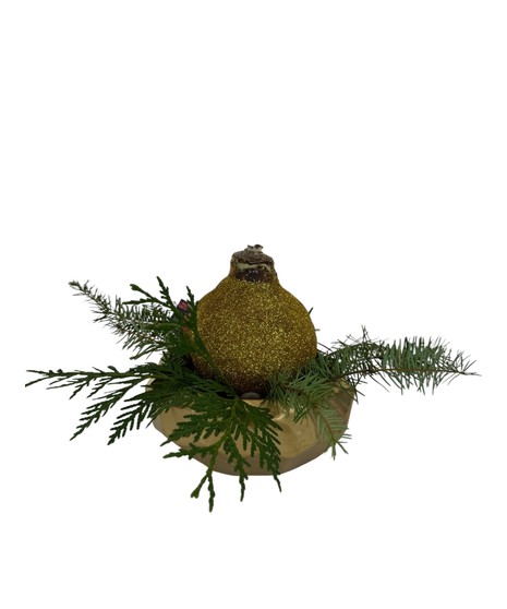 Gilded Amaryllis Bulb