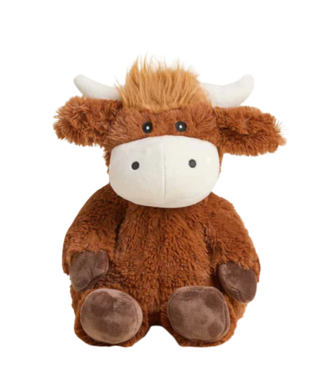 Cozy Highland Cow