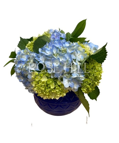 Blue Hydrangea Cluster