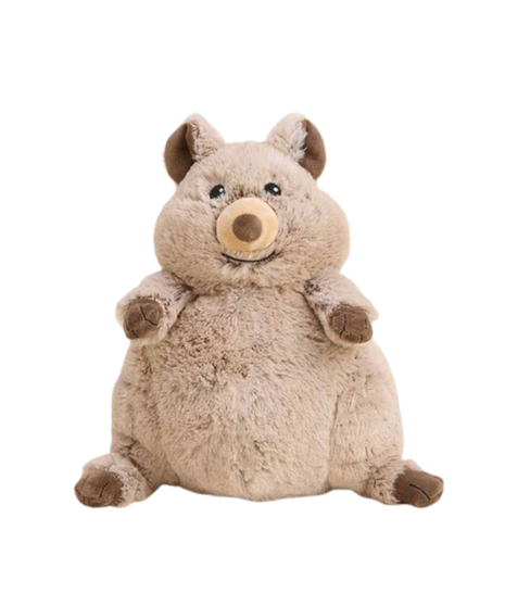 Cozy Quokka