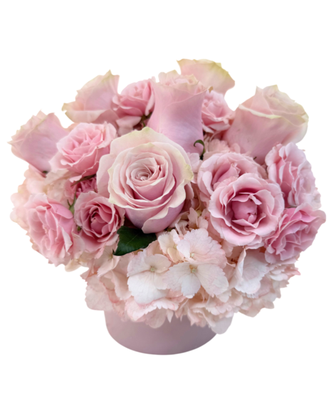 Rockabye Roses - Choose Your Color