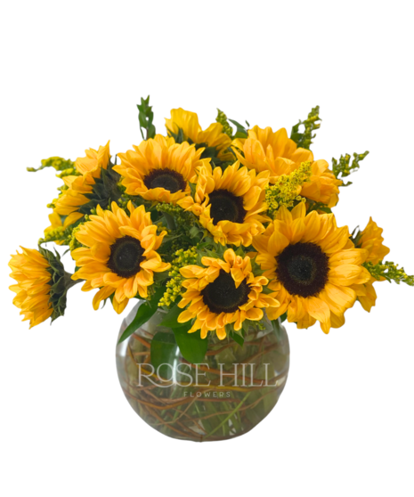 Beautifully Bright Sunflowers