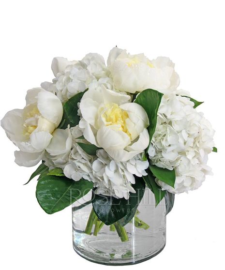 Porcelain - White