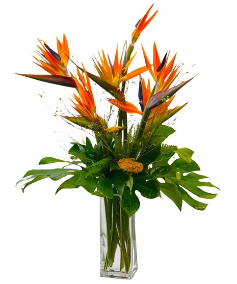 Birds of Paradise and greenery in a clear glass vase