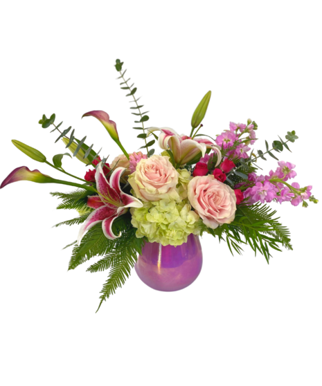 Garden Cluster of Red and White Flowers