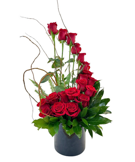 Magnifica - Choose Your Color