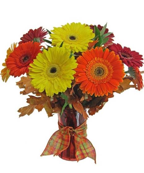 Vase of gerbera daisies in fall colors.