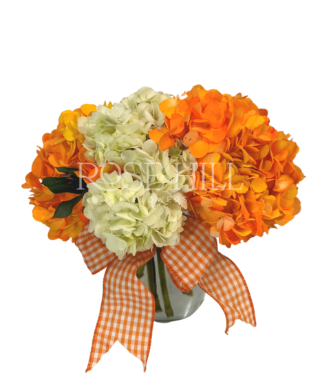 Cluster of hydrangeas in a vase tied with ribbon