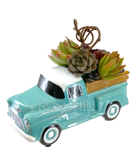 55 Chevy Truck Load of Succulents