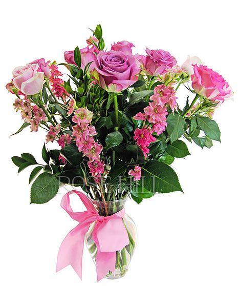 12 Brilliant Pink Roses