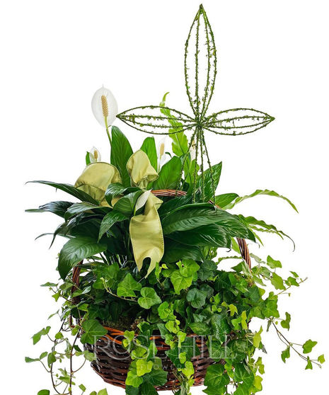Lovely Euro Garden basket with 2 plants and a cross accent