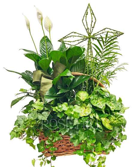 Lovely Euro Garden basket with 2 plants and a cross accent