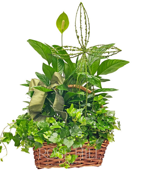 Lovely Euro Garden basket with 2 plants and a cross accent