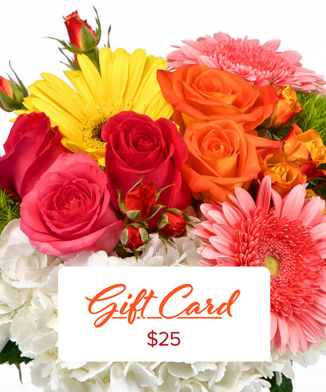 E-GIFT CARD $25