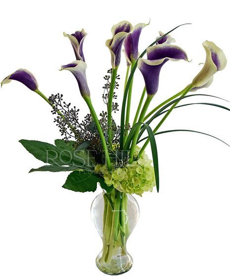 Picasso Mini Callas
