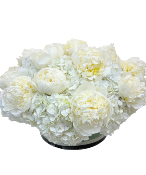 Peonies and white hydrangea with green accents in a round glass vase