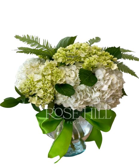 Blue, white and green hydrangea in a 9 inch bambino style vase.