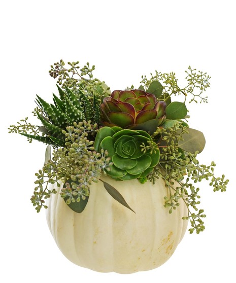 Pumpkin Arrangement with Succulents