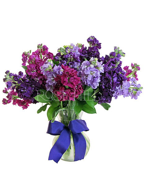 Vase of Assorted Color Stock