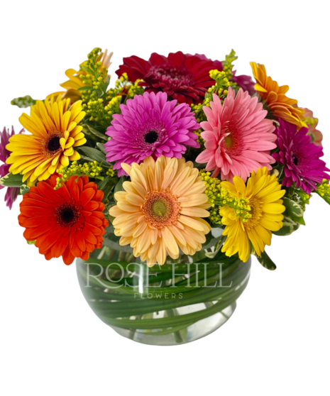Gerbera Daisy Bowl