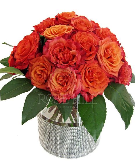Sparkling Roses