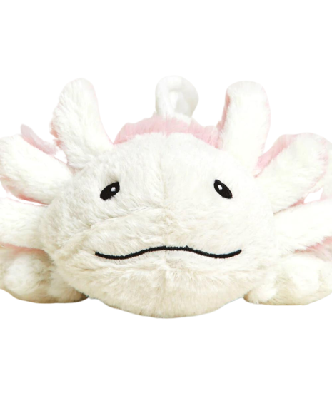 Adorable Plush Axolotl by Rose Hill Florist - Nashville TN