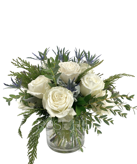 Winter White Roses