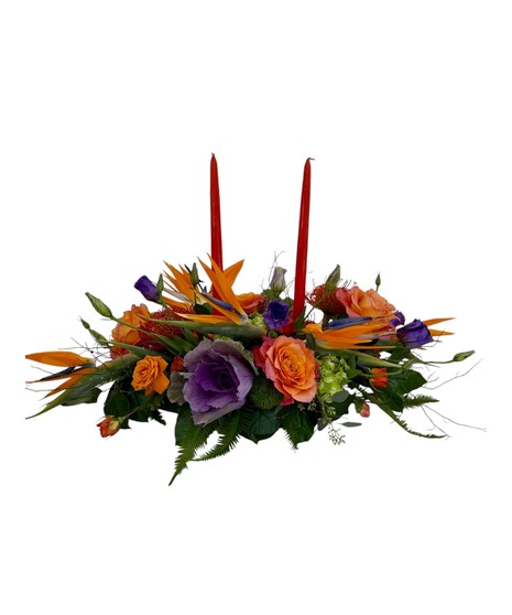 Tropics at the Table