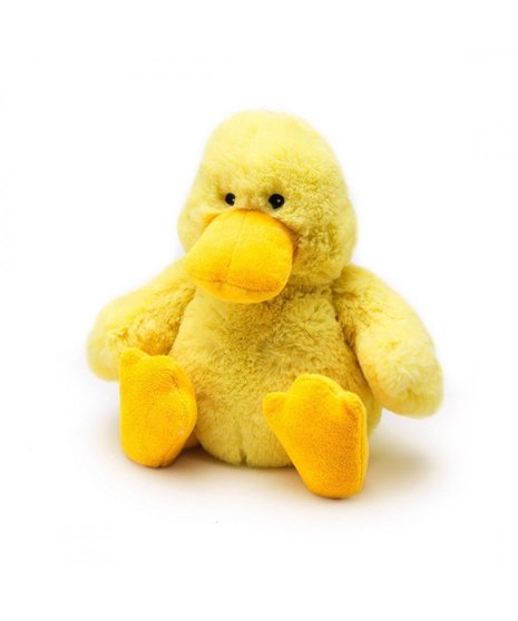 Yellow duck container with pink or blue fresh florals for new baby.