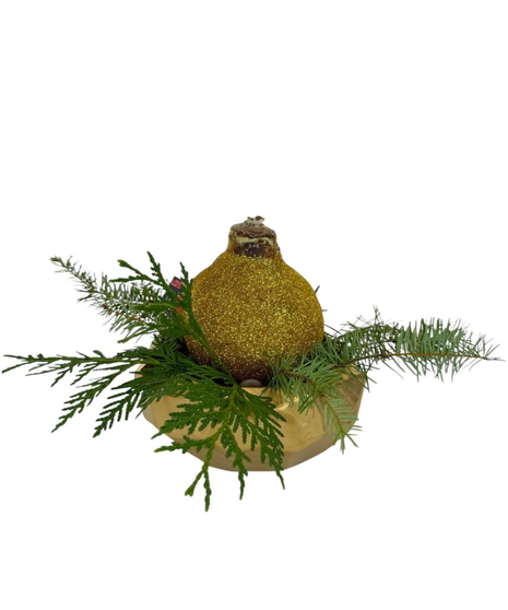 Gilded Amaryllis Bulb