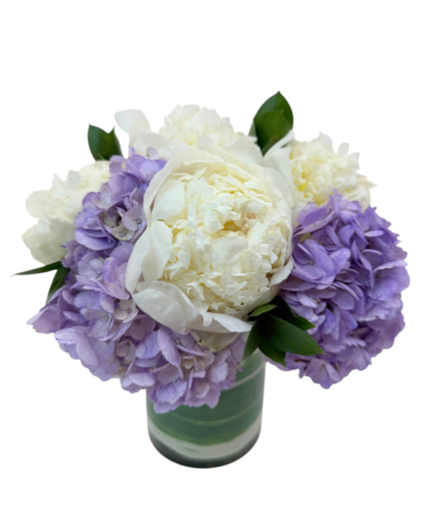 Spring Peonies