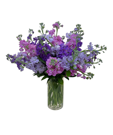 Vase of Assorted Color Stock